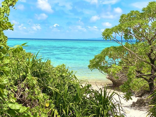 Twin room   Morning and evening with two mea / Ishigaki Okinawa