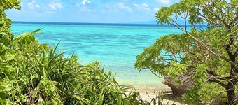 Twin room   Morning and evening with two mea / Ishigaki Okinawa