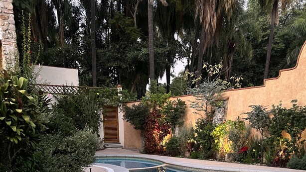 A mosaic-tiled infinity pool with a stone border, surrounded by lush greenery and palm trees. - Mesón de las Delicias (Cuernavaca)