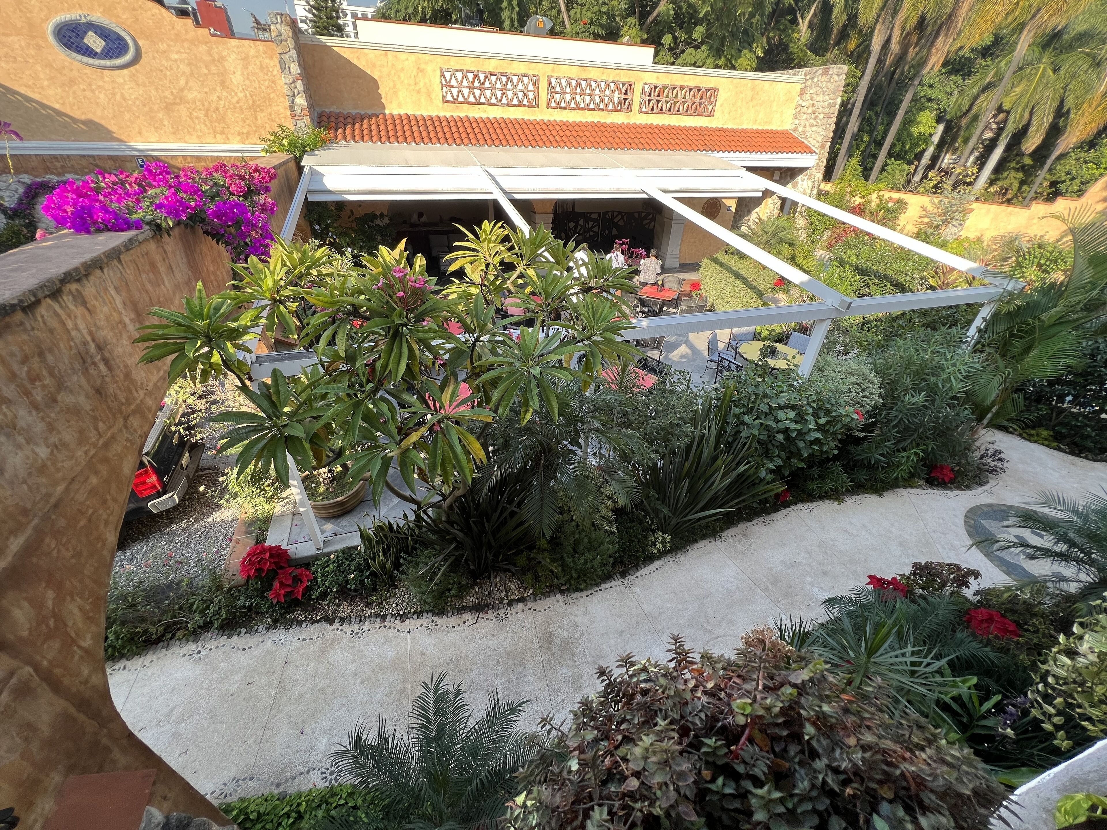 A courtyard with a pergola, various plants, and a building with a tiled roof.