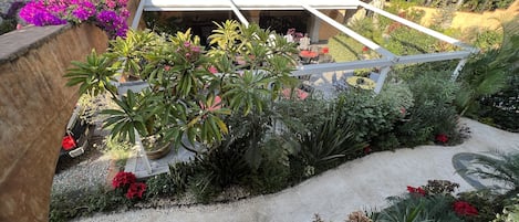 A courtyard with a pergola, various plants, and a building with a tiled roof.