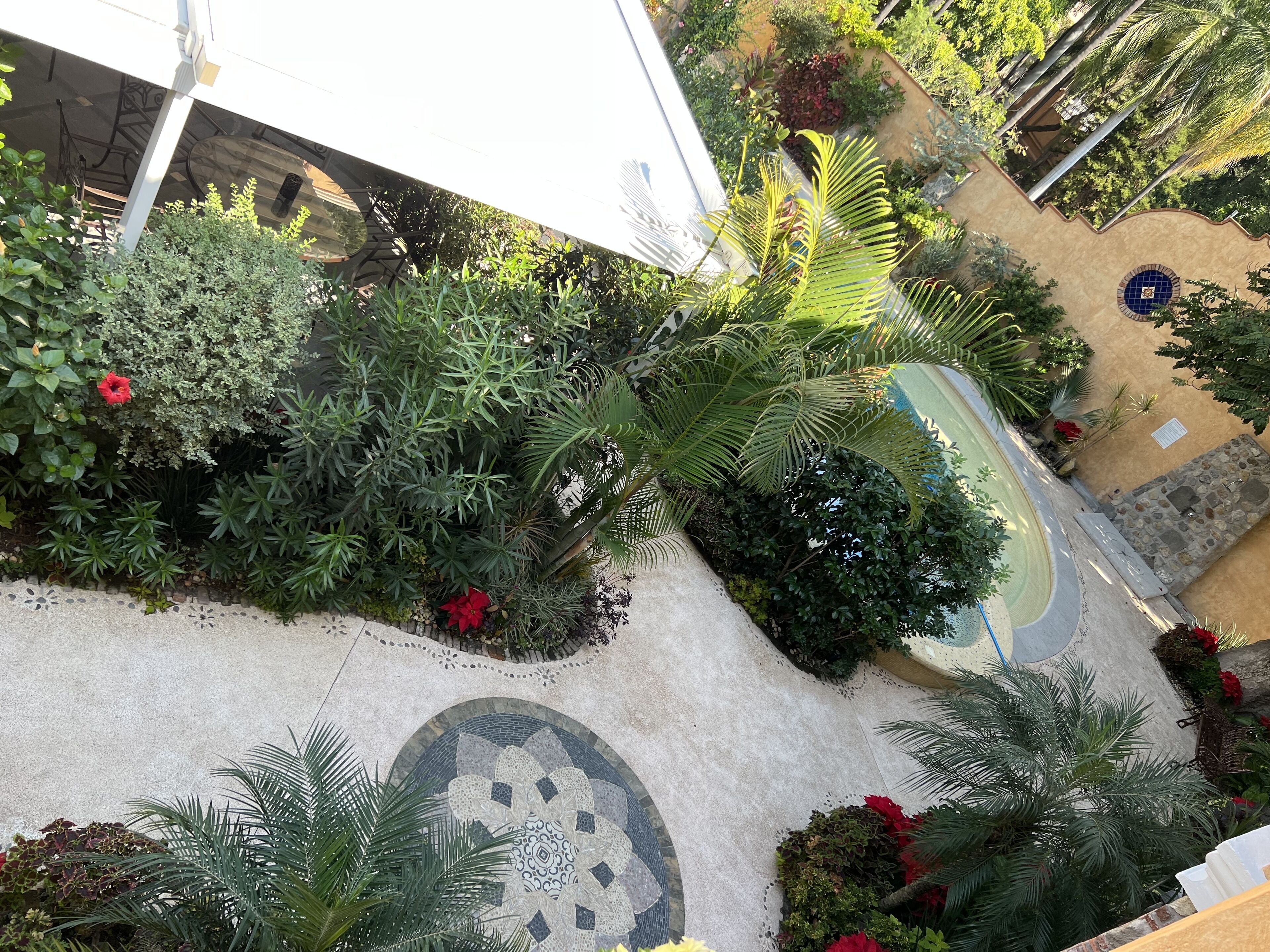 Un jardín en la azotea con diversas plantas y un mosaico decorativo.