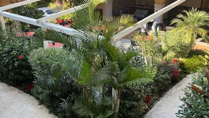 A courtyard with a variety of plants and a central seating area. - Mesón de las Delicias (Cuernavaca)