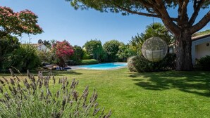 Un jardin avec une piscine, un grand arbre et diverses plantes.