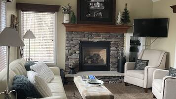 Televisor, llar de foc i reproductor de DVD