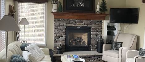 Televisión, chimenea, reproductor de DVD