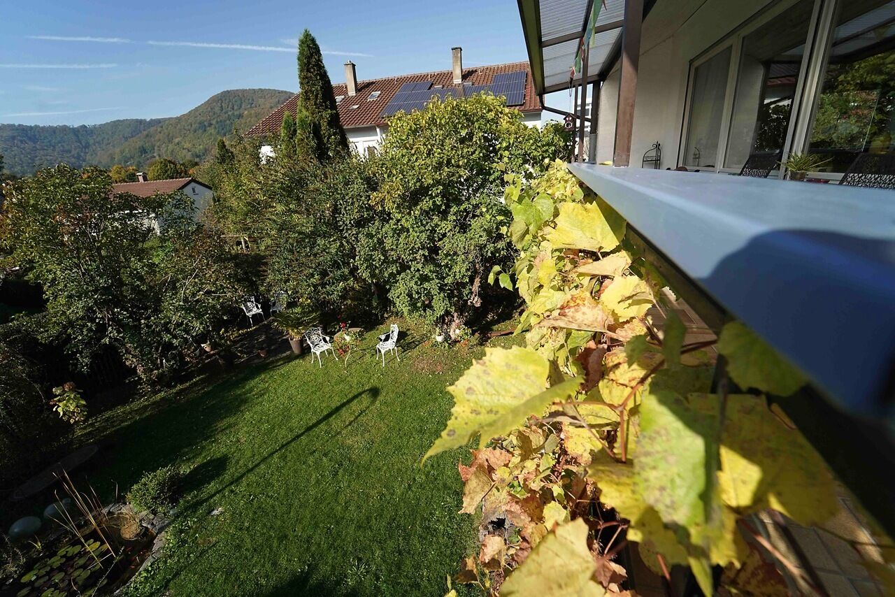 A well-maintained garden with a lawn, trees, and a white railing.