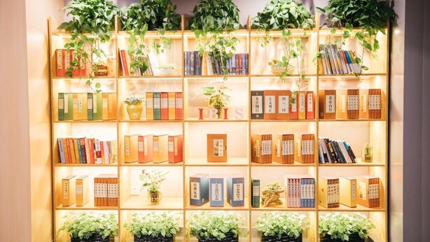 A bookshelf with books and plants.