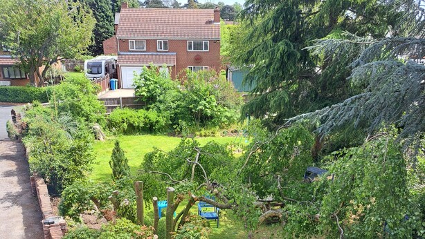 A residential garden with a variety of trees and shrubs, a brick pathway, and a blue play structure. - Dunham House | Celebrations| Families & Friends| Parking | Dogs (Dunham on Trent)