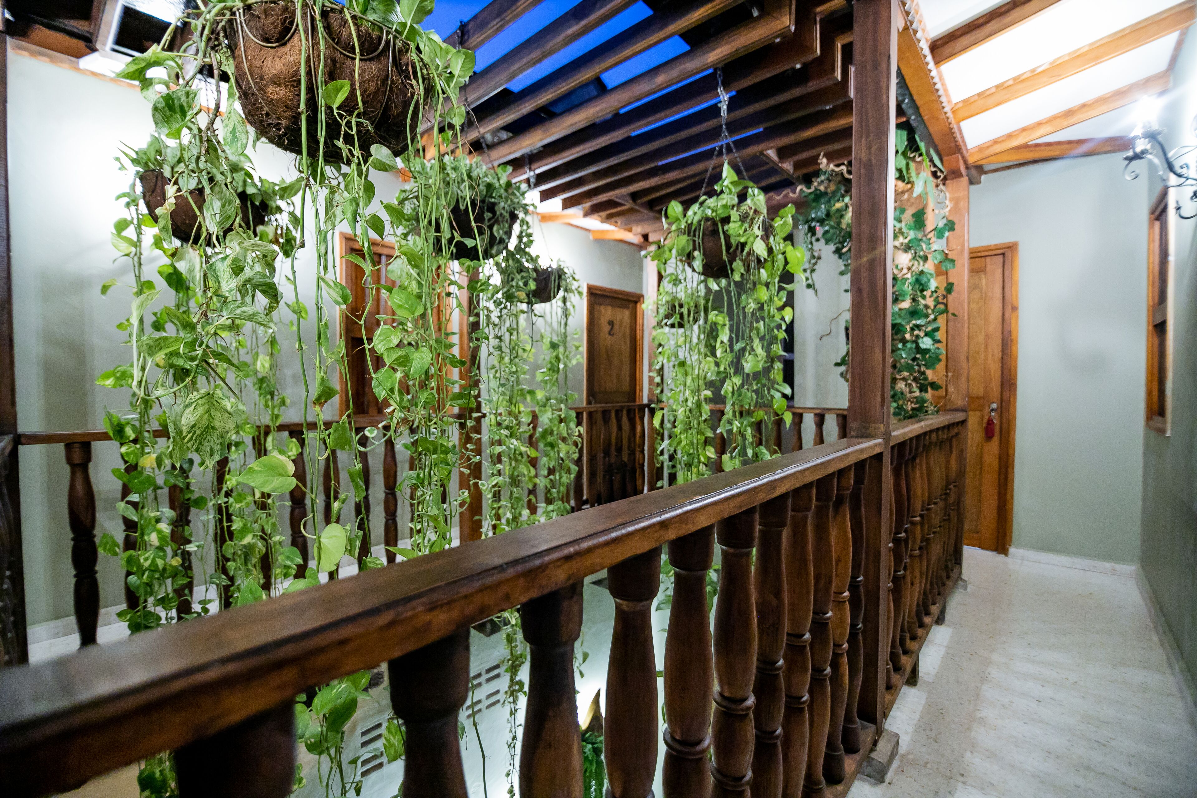 Foto - Scalea Di Mare Hotel