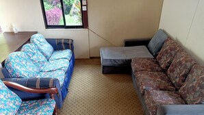 Olohuoneessa on kukkapainokuosisohva, kuviollinen sohva ja puinen tuoli.