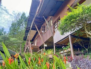 Een houten huis met een veranda, omringd door diverse planten en bomen.