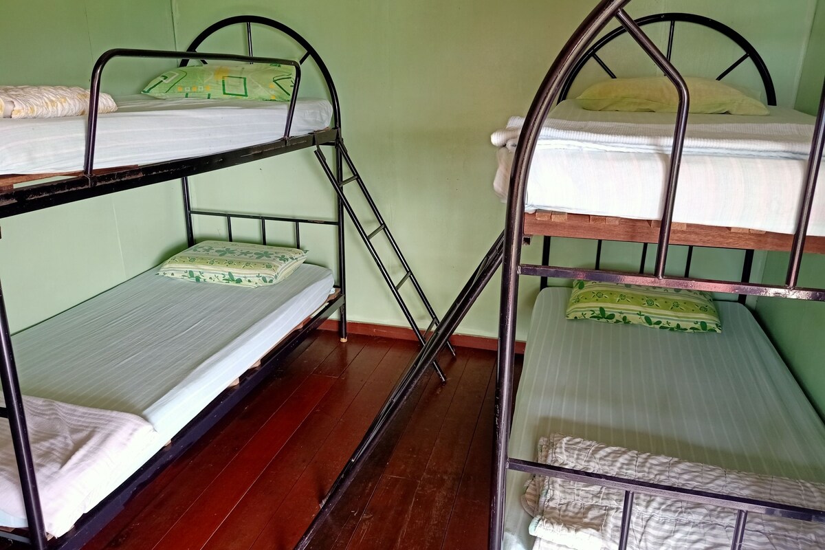 Bộ trải giường