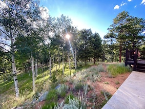 Overnattingsstedets uteområder