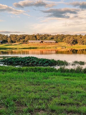 Eine friedliche Landschaft mit einem See, grünem Gras und einem Gebäude im Hintergrund.