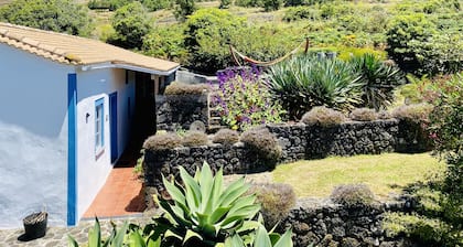 Quinta Perpetua, Casa Flores