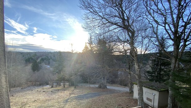 A wooden bench overlooking a grassy area with trees and a building in the background. - Studio at the foot of the slopes Laguiole resort (Laguiole)