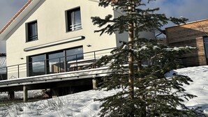 Una casa moderna con un césped cubierto de nieve y un pequeño árbol de hoja perenne.