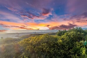 Unclassified image, 2 of 49, button