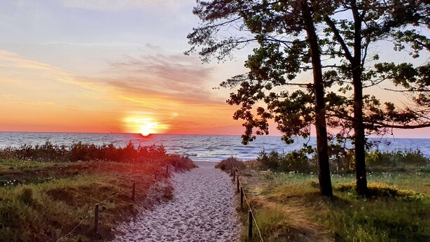 A sunset view over a beach with a sandy path leading to the water, surrounded by vegetation and trees. - Villa Mar Baabe (Ostseebad Baabe)