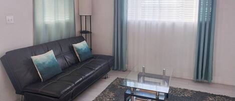 Un salon avec un canapé en cuir noir, une table basse en verre et un tapis bleu.