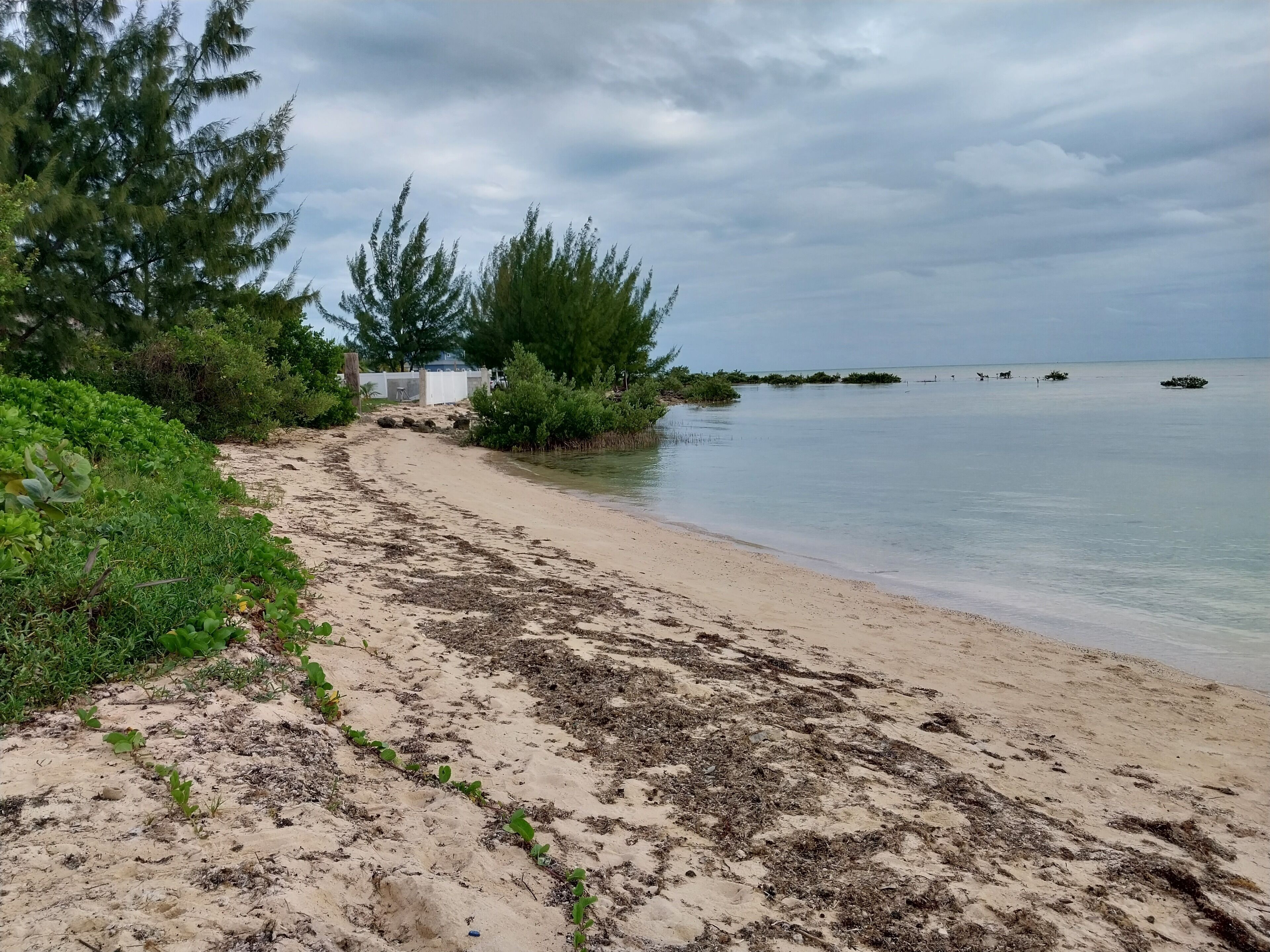 A sandy beach with sparse vegetation and a calm sea.