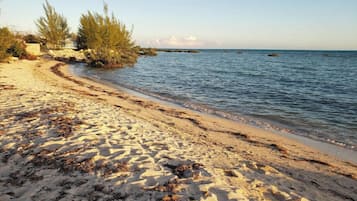 Sun-loungers, beach towels