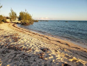 A sandy beach with clear water, some vegetation, and a distant view of the ocean.