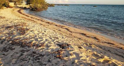 Spacious Modern Villa Near Ocean & Palm Cay Marina