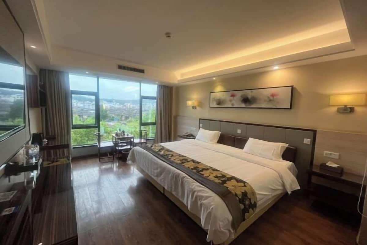 A hotel room with a large bed, a desk, a chair, a TV, and a view of the city.