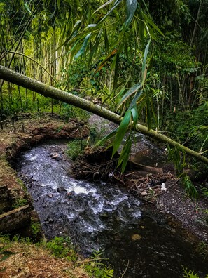 Parco della struttura