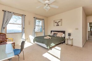 9 bedrooms, desk, iron/ironing board, WiFi