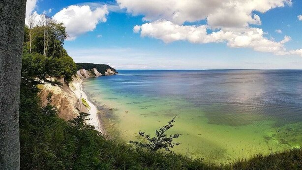 A coastal landscape with a clear view of the sea, a sandy beach, and a forested cliff.