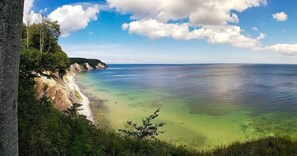 Eine Küstenlandschaft mit freiem Blick auf das Meer, einem Sandstrand und einer bewaldeten Klippe.