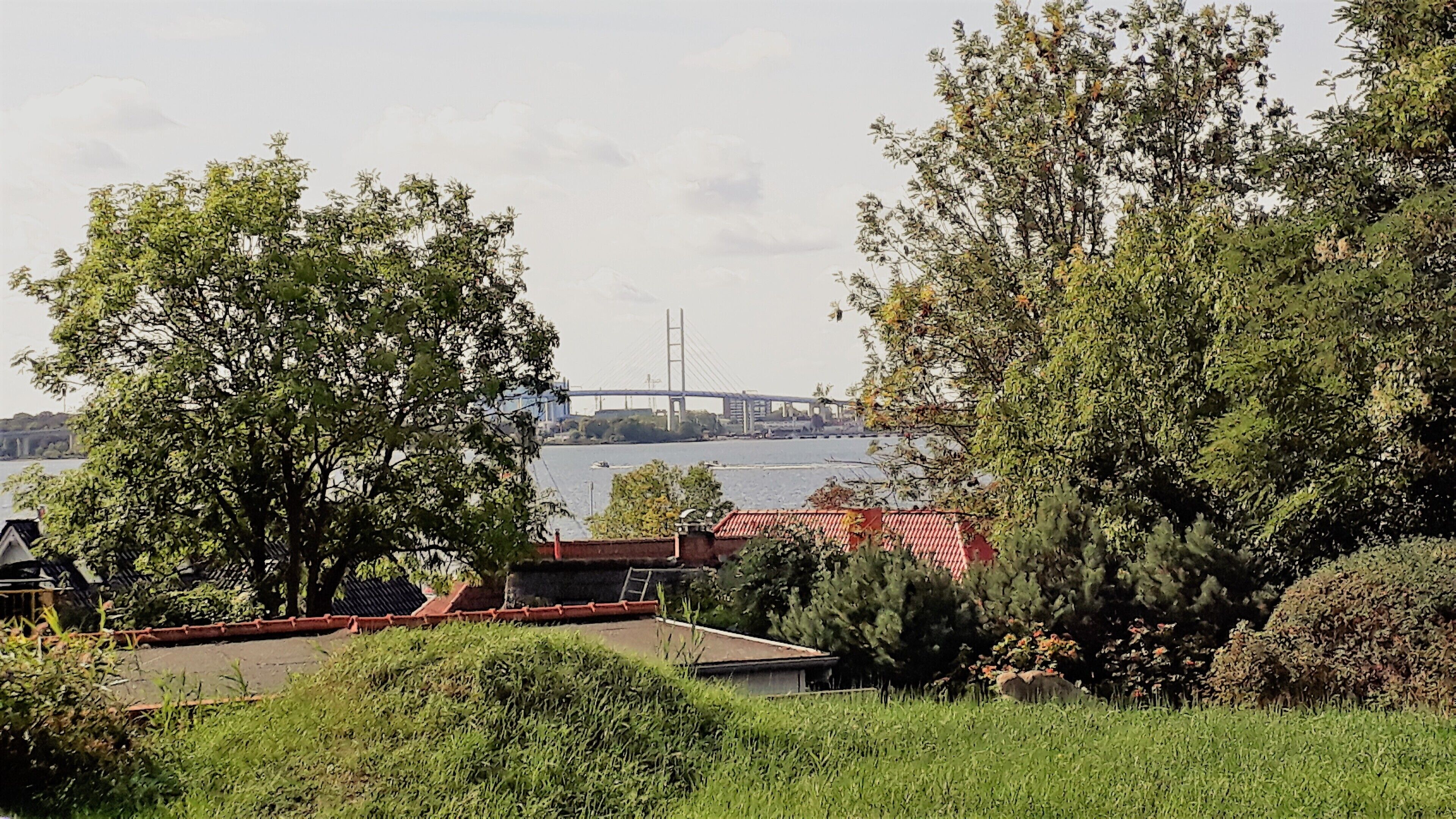 A view of a river with a bridge in the distance, surrounded by trees and buildings.