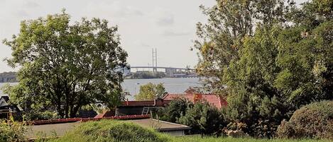 A view of a river with a bridge in the distance, surrounded by trees and buildings.