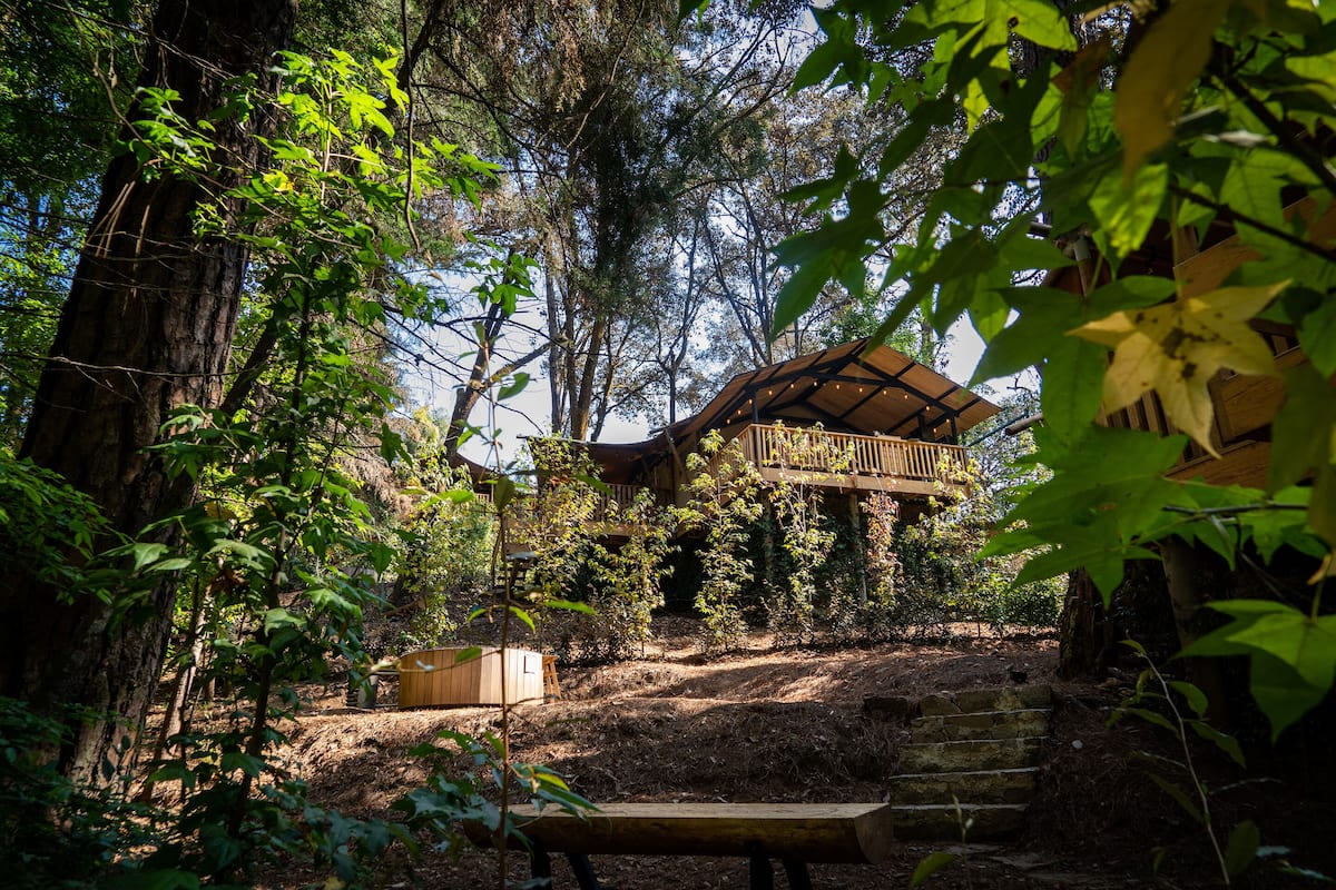 A wooden deck with a staircase leading to a covered area, surrounded by trees and a bench.