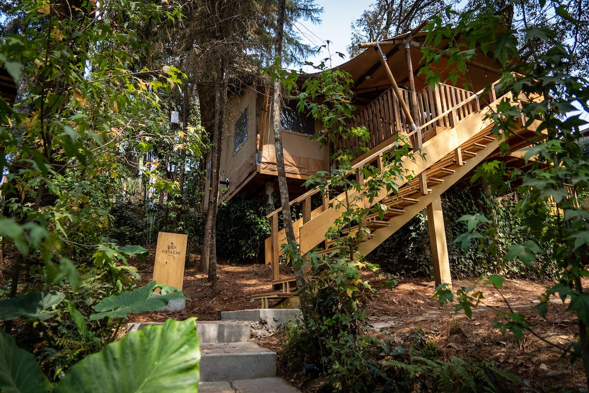 A wooden treehouse with a staircase, surrounded by dense foliage.