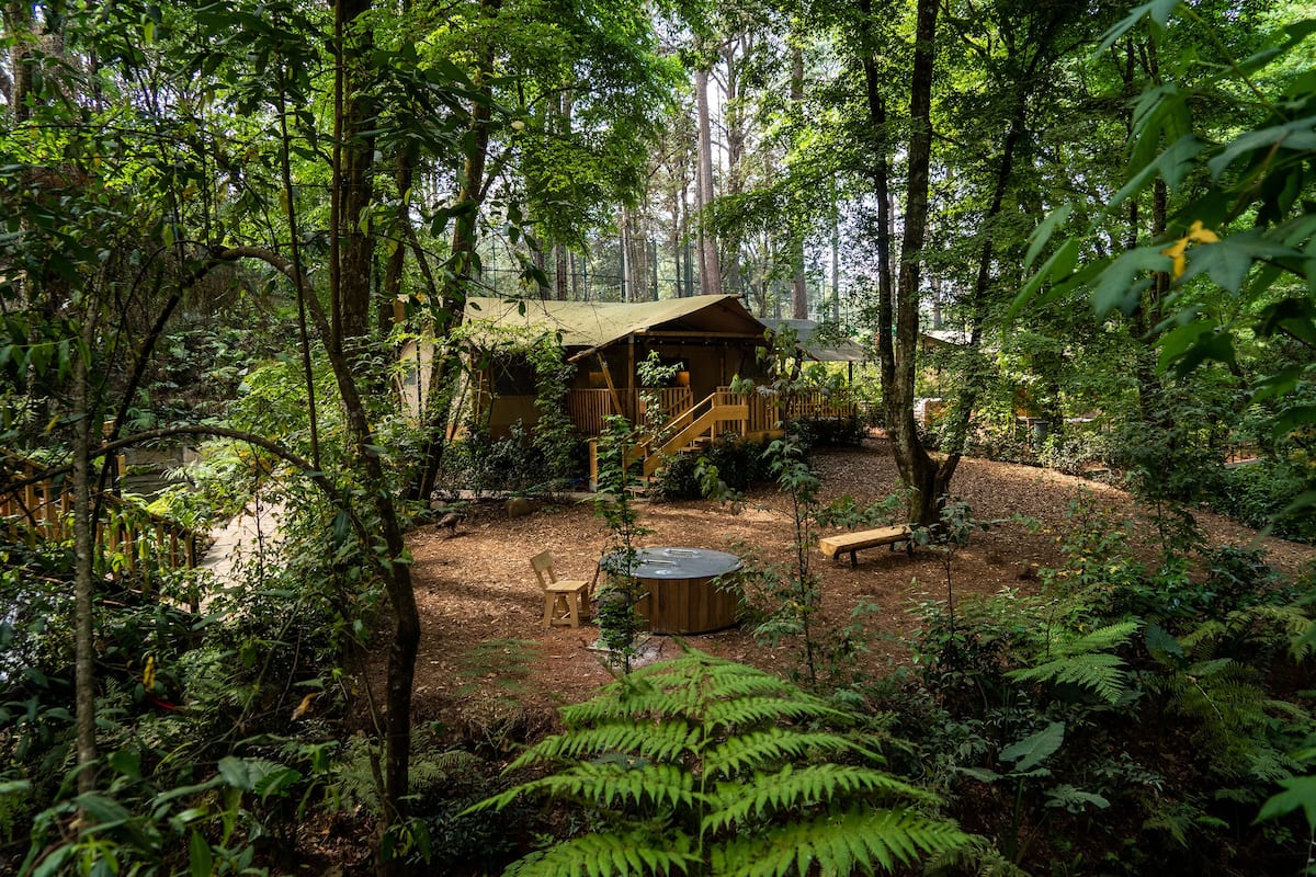 A forest cabin with a wooden deck, a hot tub, and a bench.
