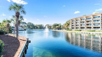 Condo (3 Bedrooms) | Property amenity
