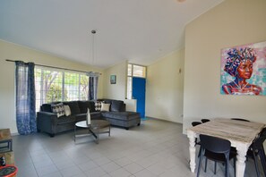 Smart TV, Netflix, books, streaming services