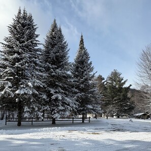 Miscellaneous - Vermont cabin on a brook close to White Mountains VAST (Maidstone)