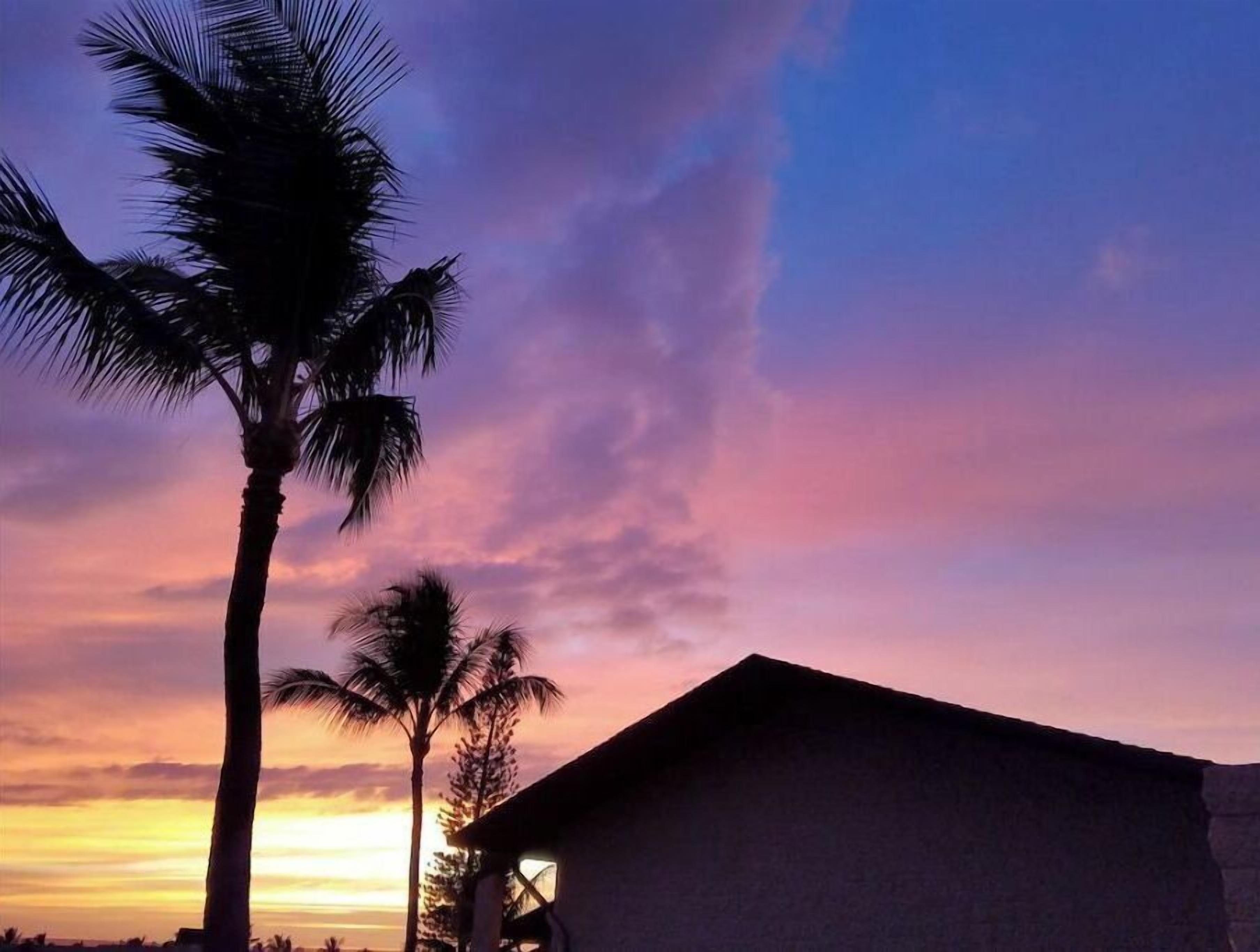 A sunset with palm trees and a building silhouette.