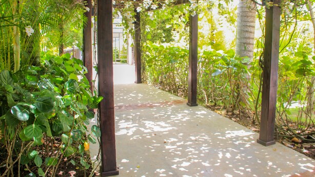 Un paseo techado con pilares de madera, rodeado de abundante vegetación y plantas en flor.