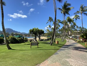 A pathway lined with palm trees and a sign indicating a lounge area. - Oceanfront home on one of the most popular beaches in Kauai! (Lihue)