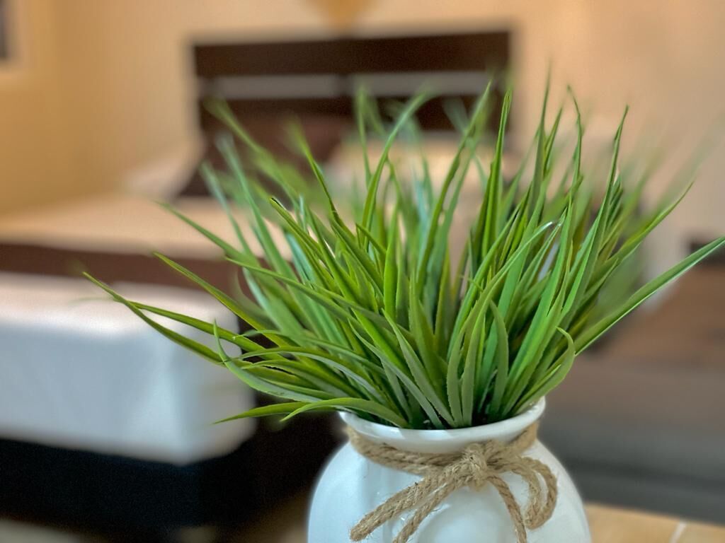 Foto - Corazon de Tulum