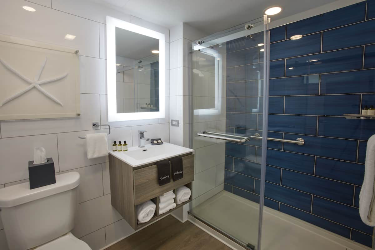 Premium Double Room | Bathroom
