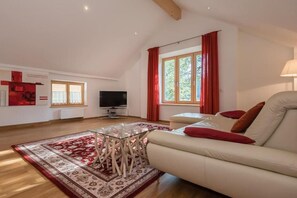 Fernseher, Stereoanlage