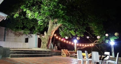 Queen Elizabeth Guesthouse