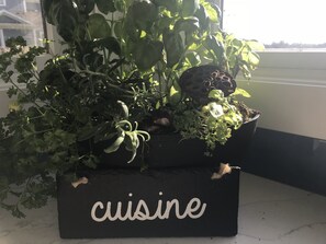 Déjeuner composé de spécialités locales gratuit tous les jours